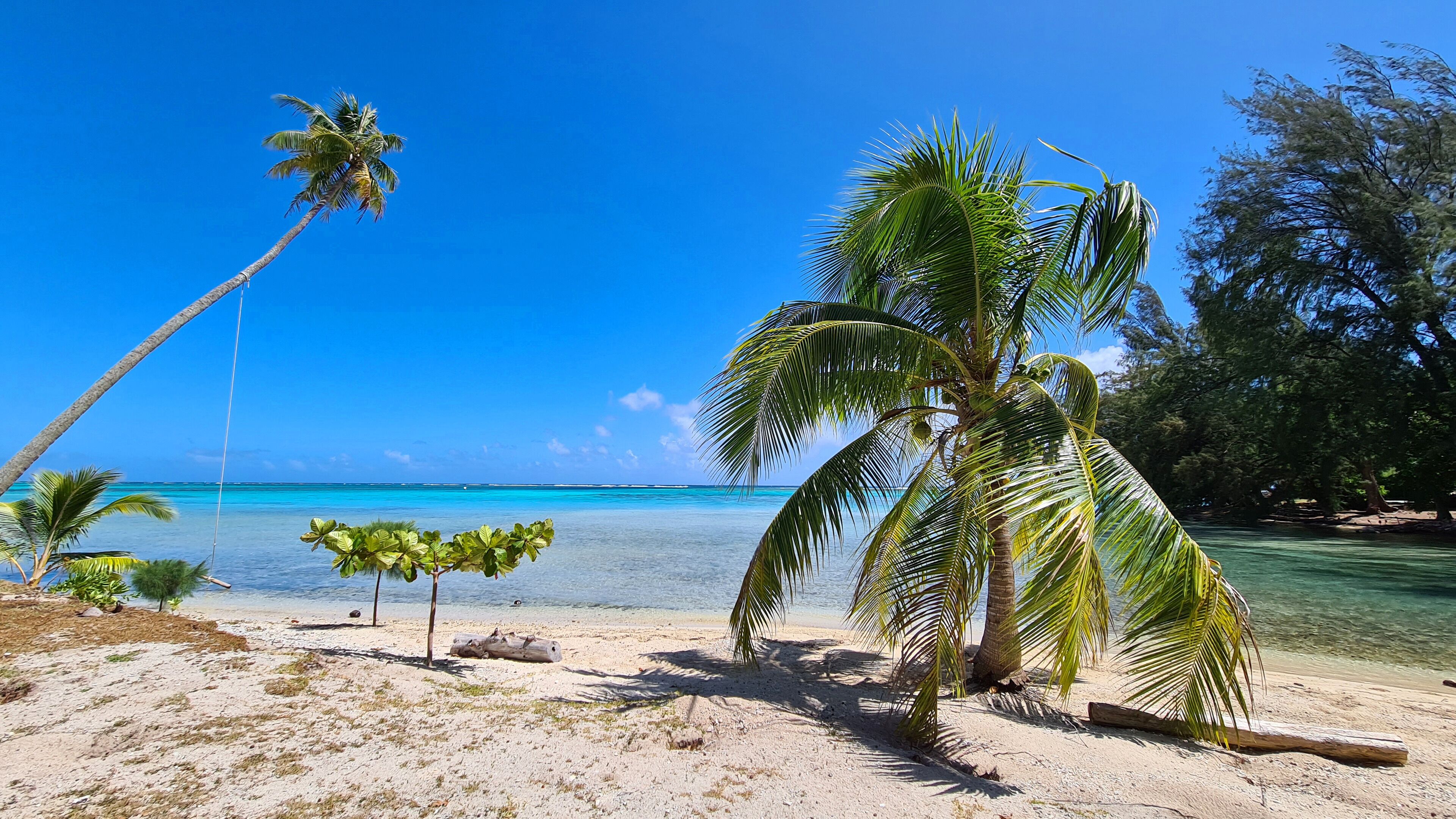 Plage à proximité, chaises longues, serviettes de plage