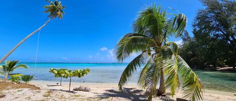 بالقرب من الشاطئ، كراسي للتشمس، مناشف للشاطئ