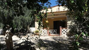 A courtyard with a stone wall, potted plants, and a statue.