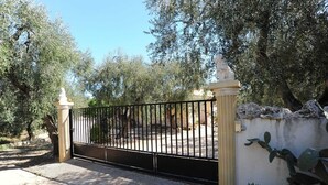 A gated entrance with a metal fence and a stone wall, surrounded by olive trees.