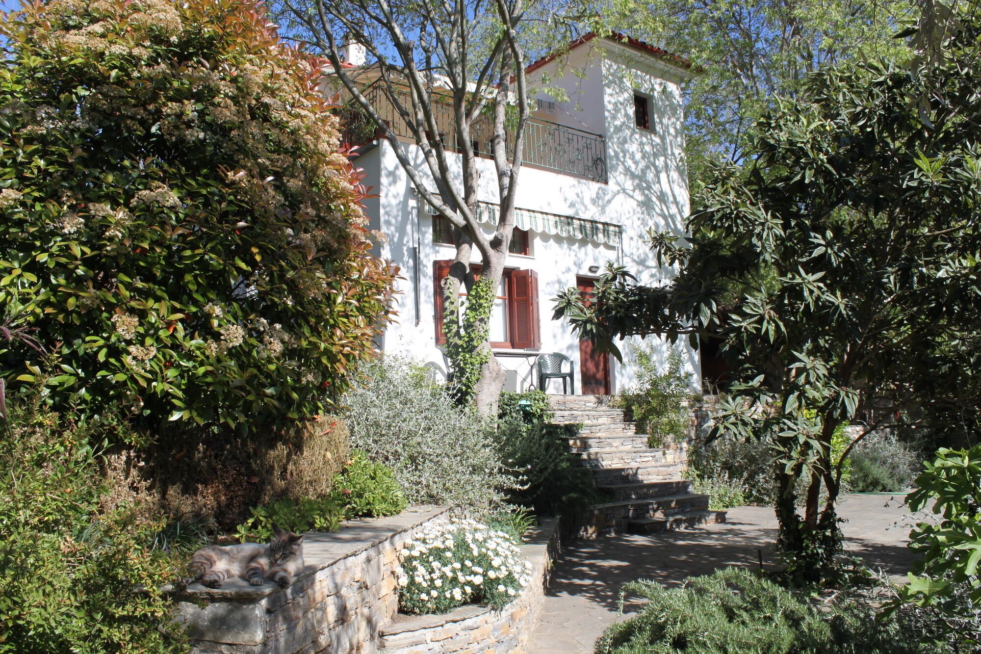 Aphroula's House - The Apartment on the First Floor