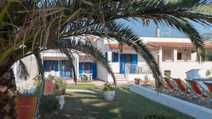 Un patio con una palmera, un edificio blanco con contraventanas azules y mobiliario exterior.