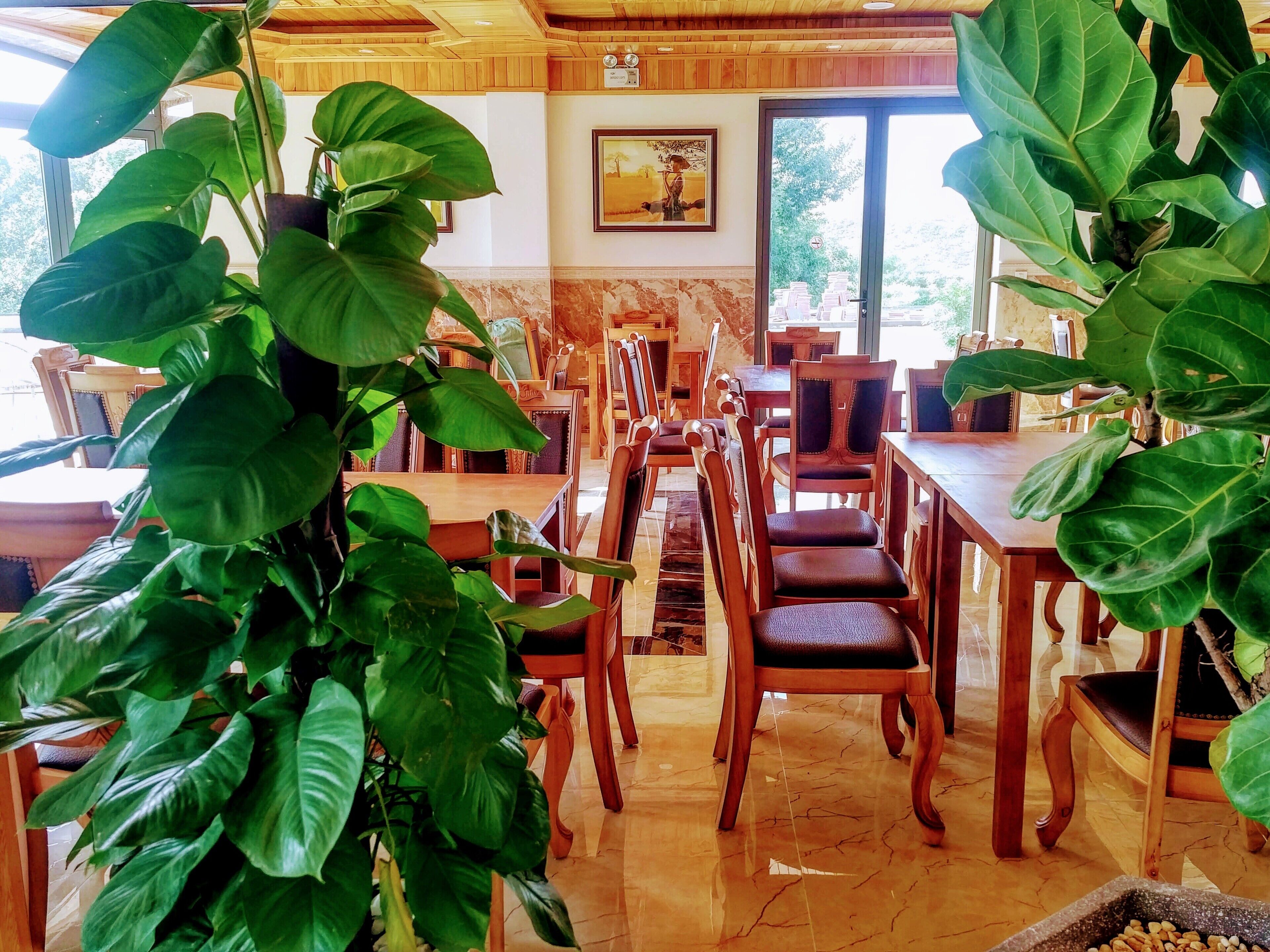 A restaurant with wooden tables and chairs, large green plants, and a marble floor.
