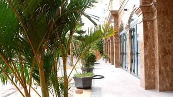 Quang cảnh sân vườn