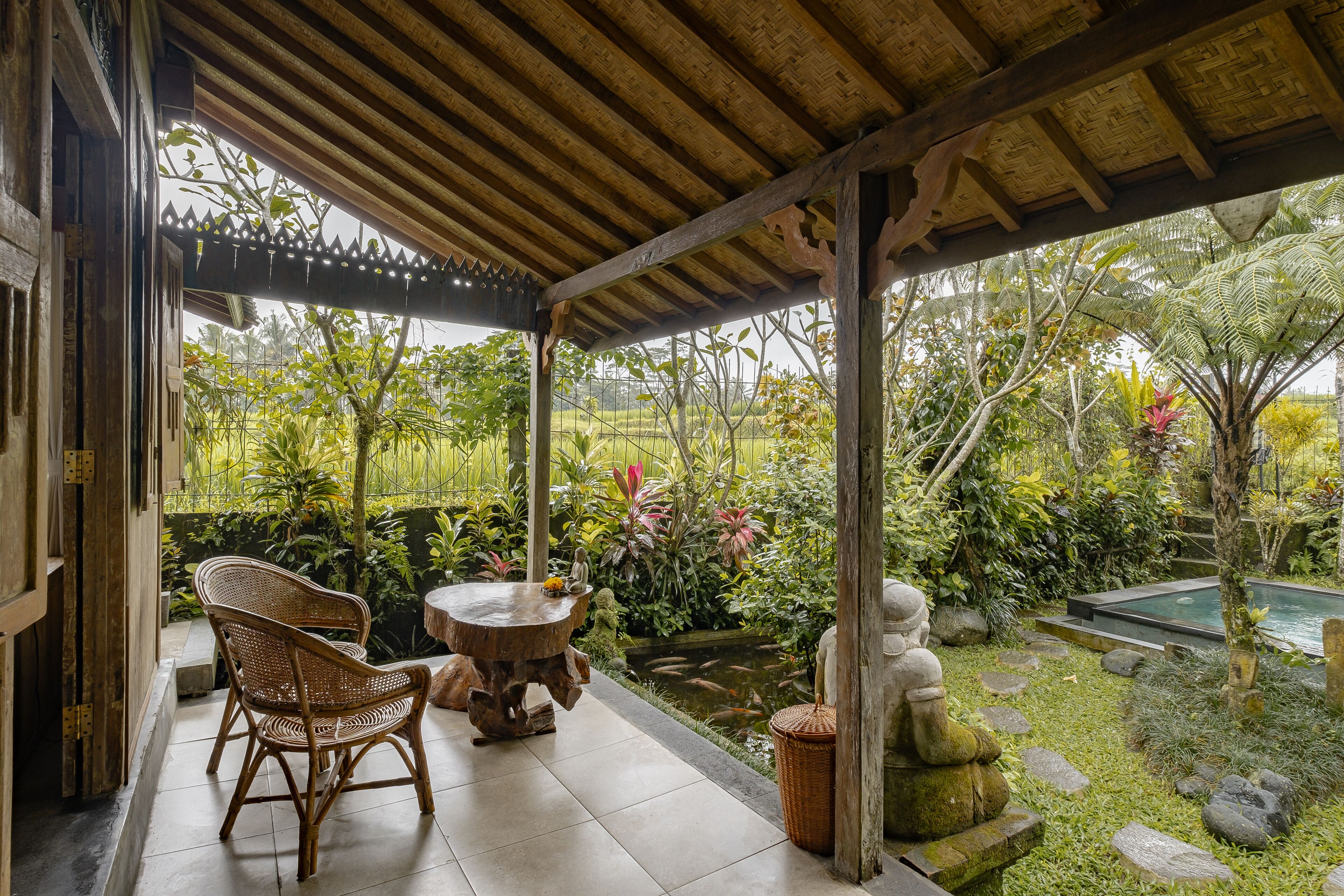 Vista desde la habitación