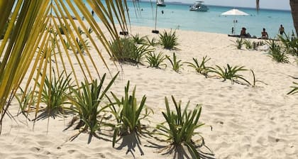 New Luxury Ocean Front Villa 😎Spectacular Caribbean Ocean Views