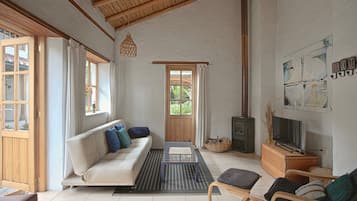 TV connectée, cheminée, livres