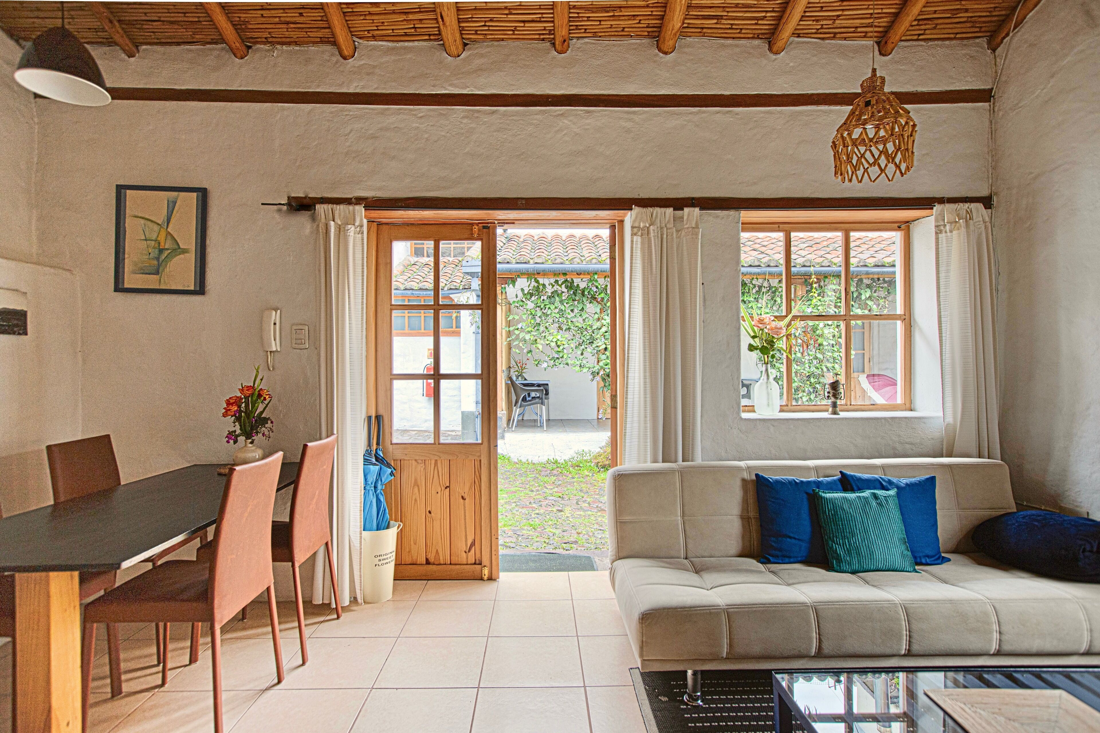 TV connectée, cheminée, livres