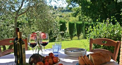 Cozy pet friendly private pool cottage in Tuscany