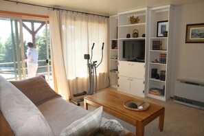 Una televisión, un reproductor de DVD, libros, un reproductor estéreo