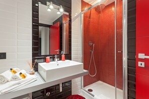 Shower, hair dryer, bidet, towels