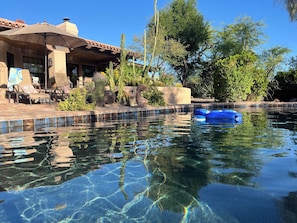 Een helder zwembad met een blauwe opblaasbare luchtbed, omringd door cactussen en bomen, en een terras met lounge stoelen en een overdekte zithoek.
