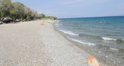 KINETTA APARTMENTS 12