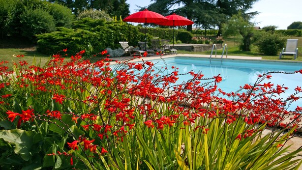 Une piscine entourée d’une végétation luxuriante et de fleurs rouges. Deux parasols rouges offrent de l’ombre.