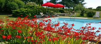 Family house on a Bordeaux winery, overlooking a garden with century old trees