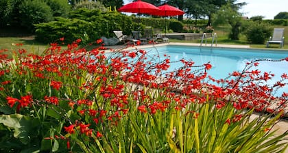 Omakotitalo Bordeaux-viinitilalla, näkymä puutarhaan ja viiniköynnöksiin