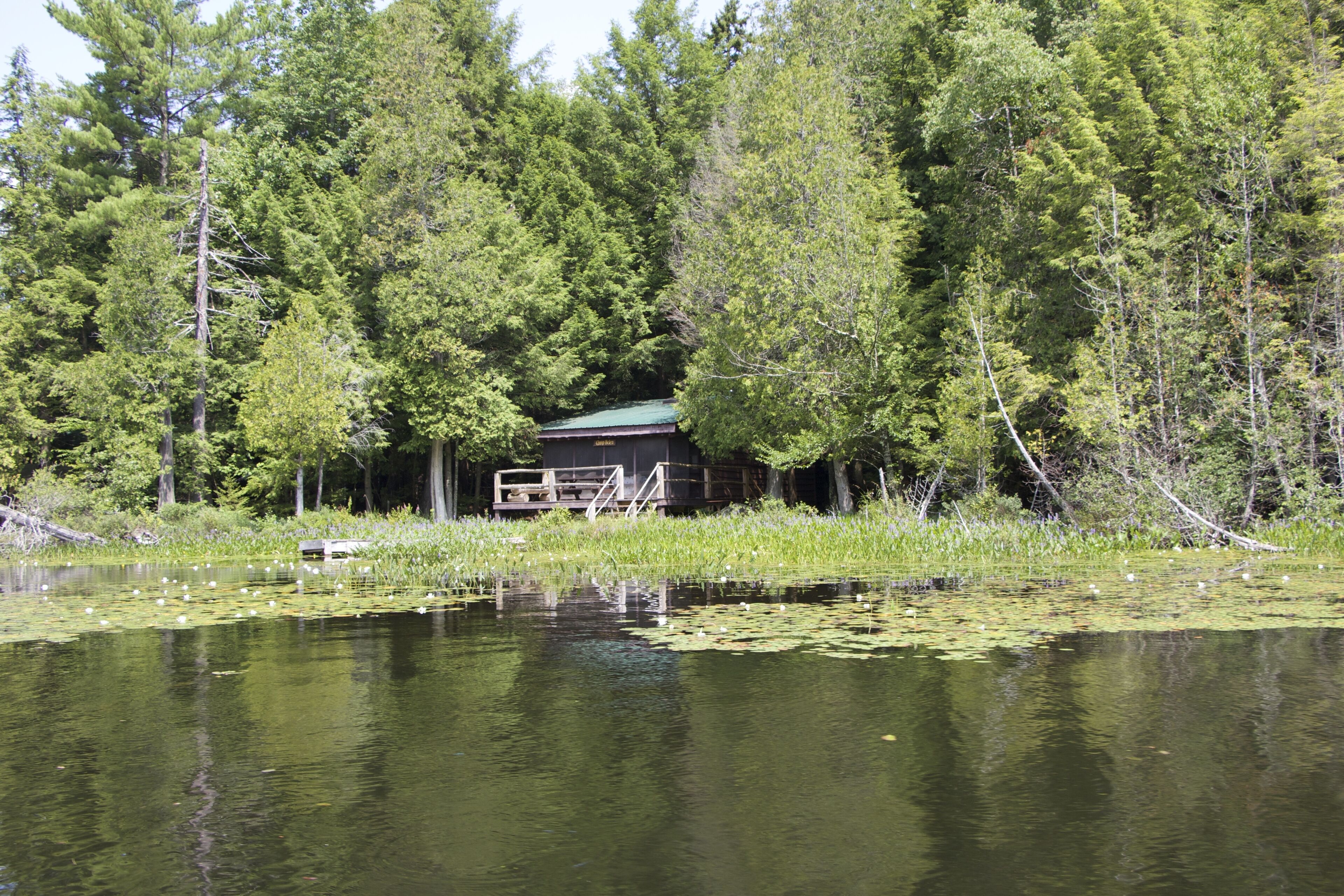 *****Authentic Adirondack Waterfront Cabin, Pet Friendly 2 bedroom 1 bath*****