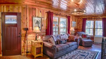 Télévision, cheminée, lecteur de DVD, livres