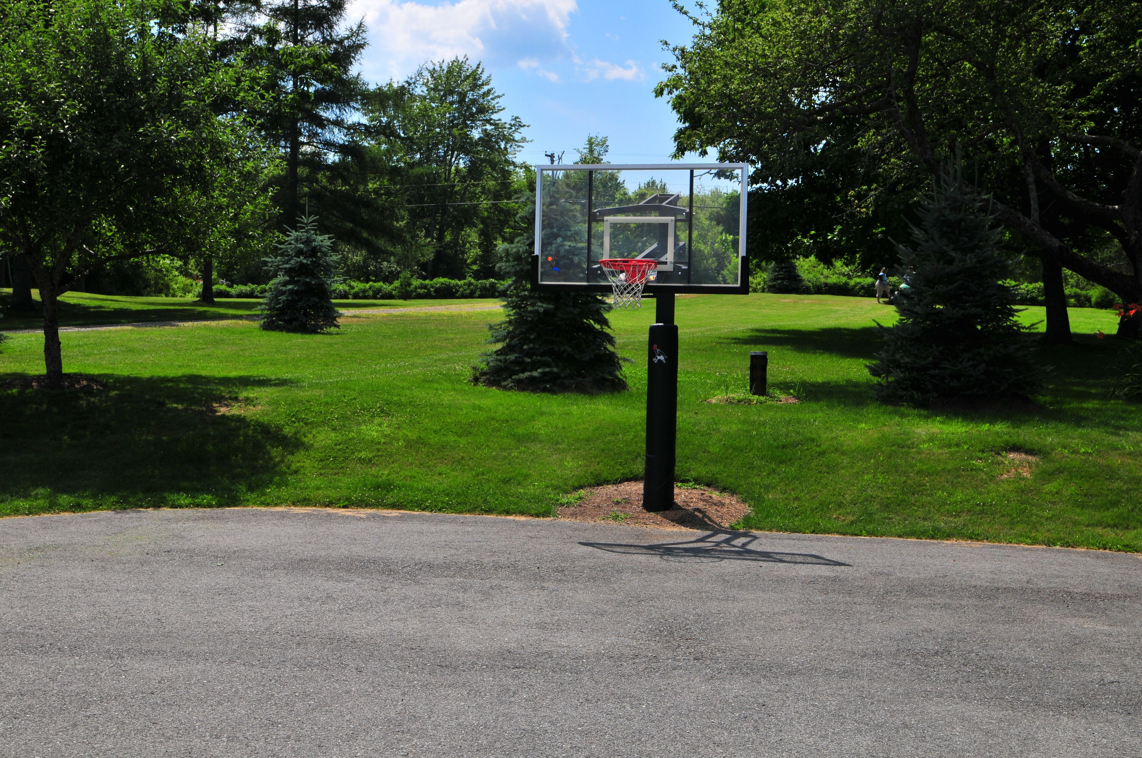 A basketball court with a hoop, surrounded by trees and a clear sky.
