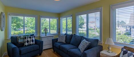 TV, fireplace, DVD player, books