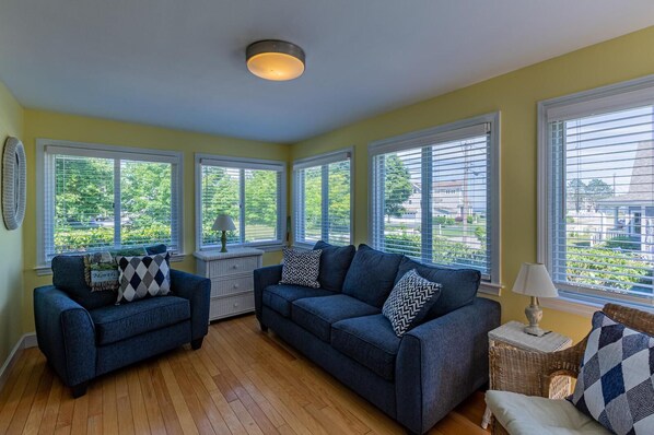 TV, fireplace, DVD player, books