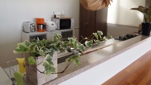 A kitchen counter with a hanging basket and a potted plant. - Rental Villa Lana Waioli (Tomigusuku)