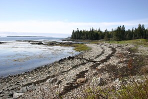 Beach nearby - Tranquil oceanfront cottage on Wohoa Bay (Addison)