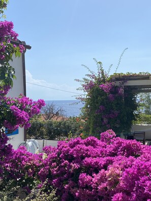 Property grounds - Romantic cottage on the coast of the sun at 80 m from the sea loc. Chiessi (Chiessi)