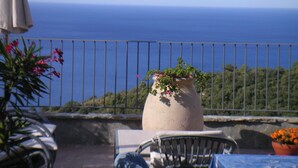 A balcony with a view of the sea, a potted plant, and a table with a chair.