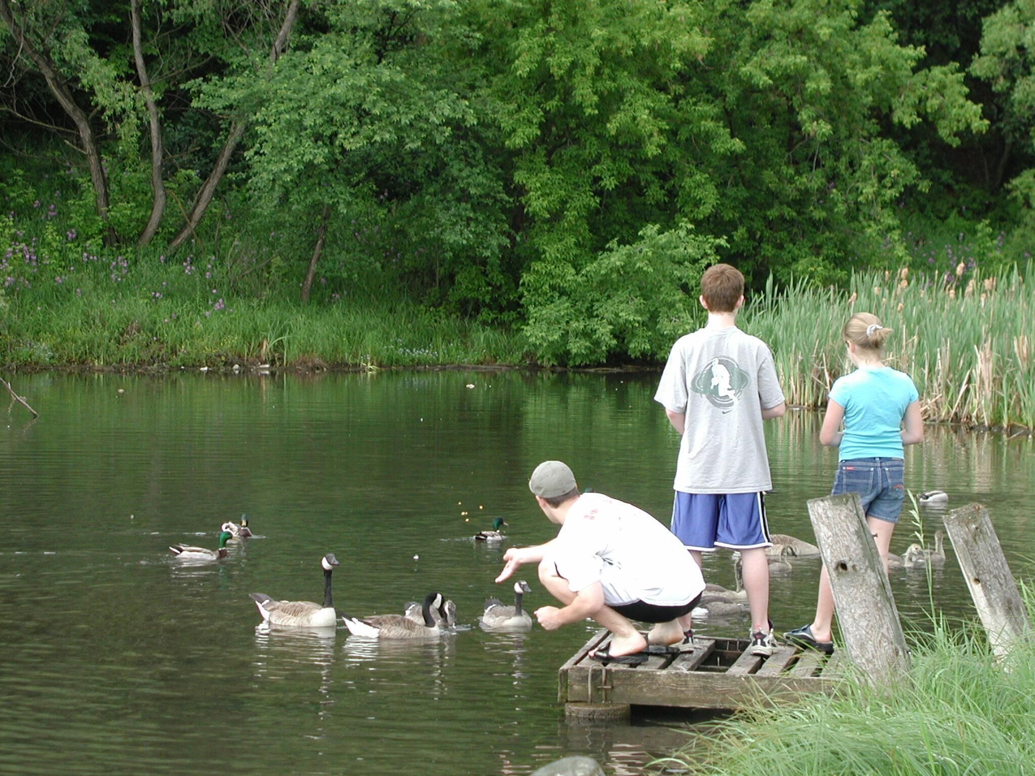 A group of people by a calm lake with ducks swimming nearby.