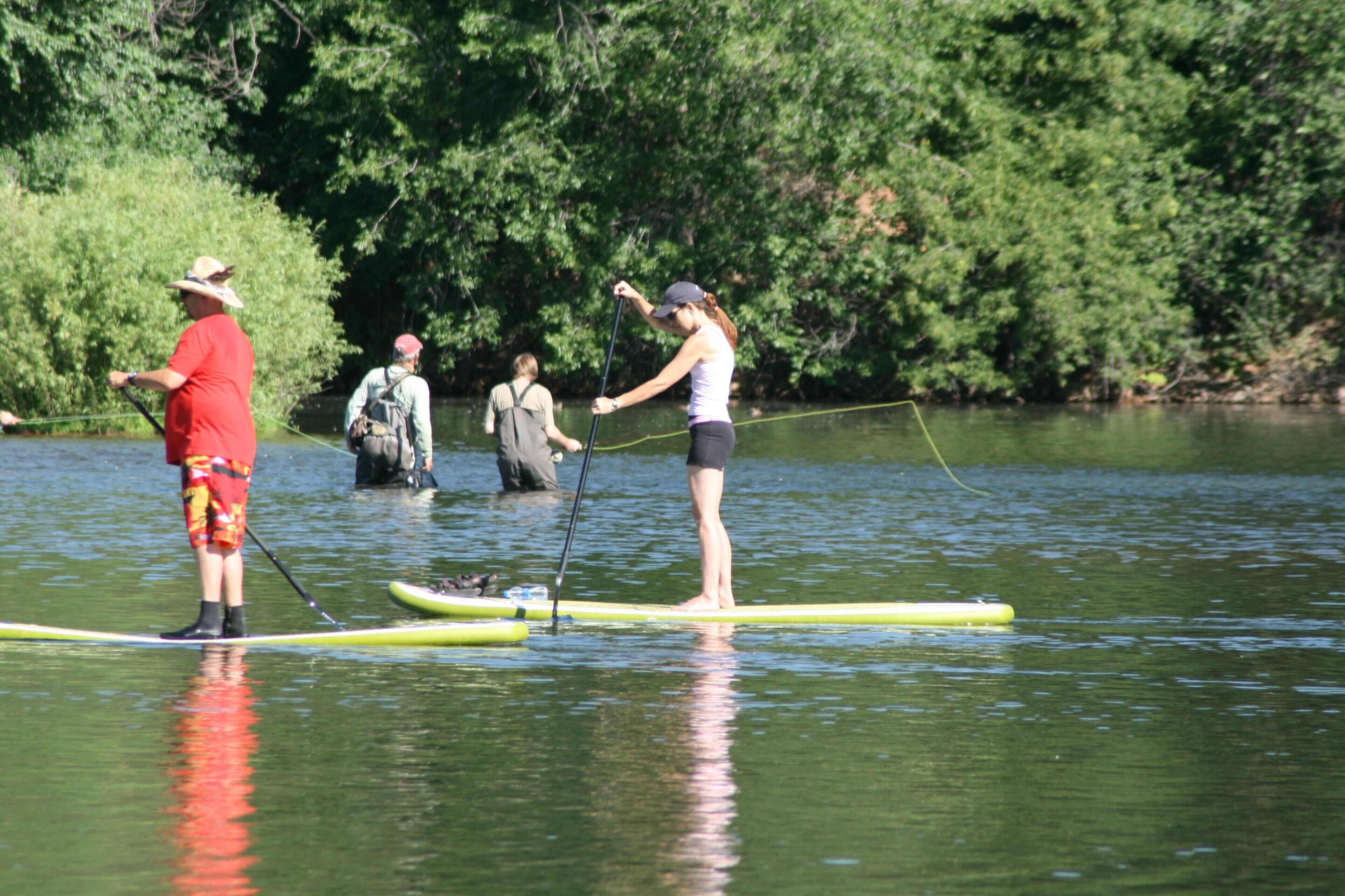 People paddleboarding on a calm river surrounded by dense greenery.