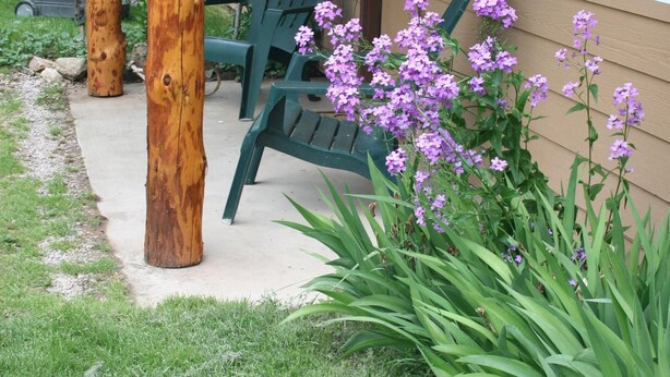 Een huis met een veranda, groene stoelen, paarse bloemen en een barbecue.