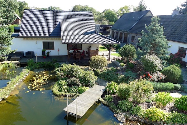 Blick in den Garten