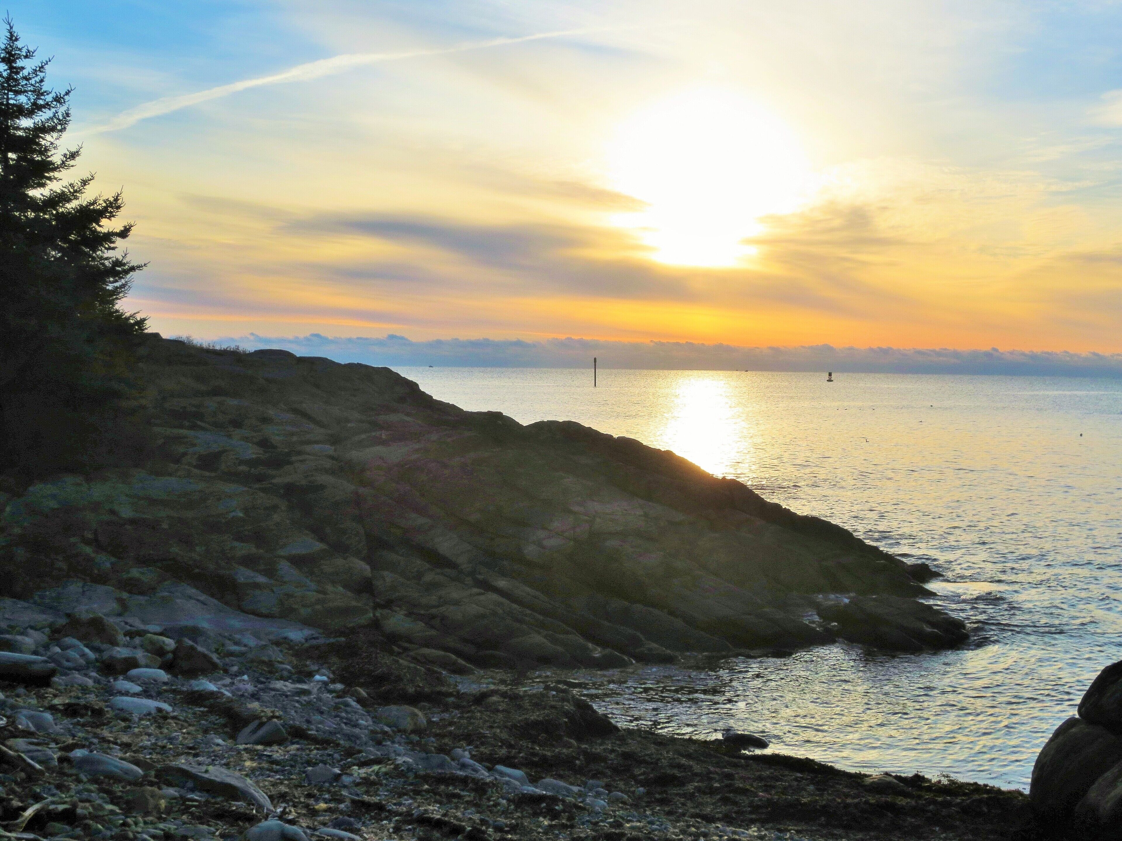 Pointed Fir Cove Cottage - Stunning Ocean Front Retreat!