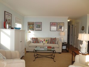 TV, DVD player, books, video library