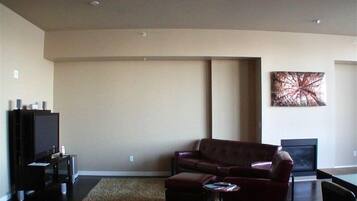 TV, fireplace, DVD player