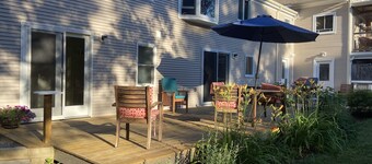 Clean, comfortable and quiet, renting