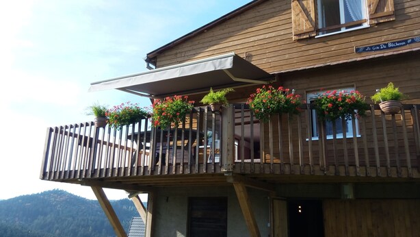A wooden building with a balcony featuring potted plants and flowers.