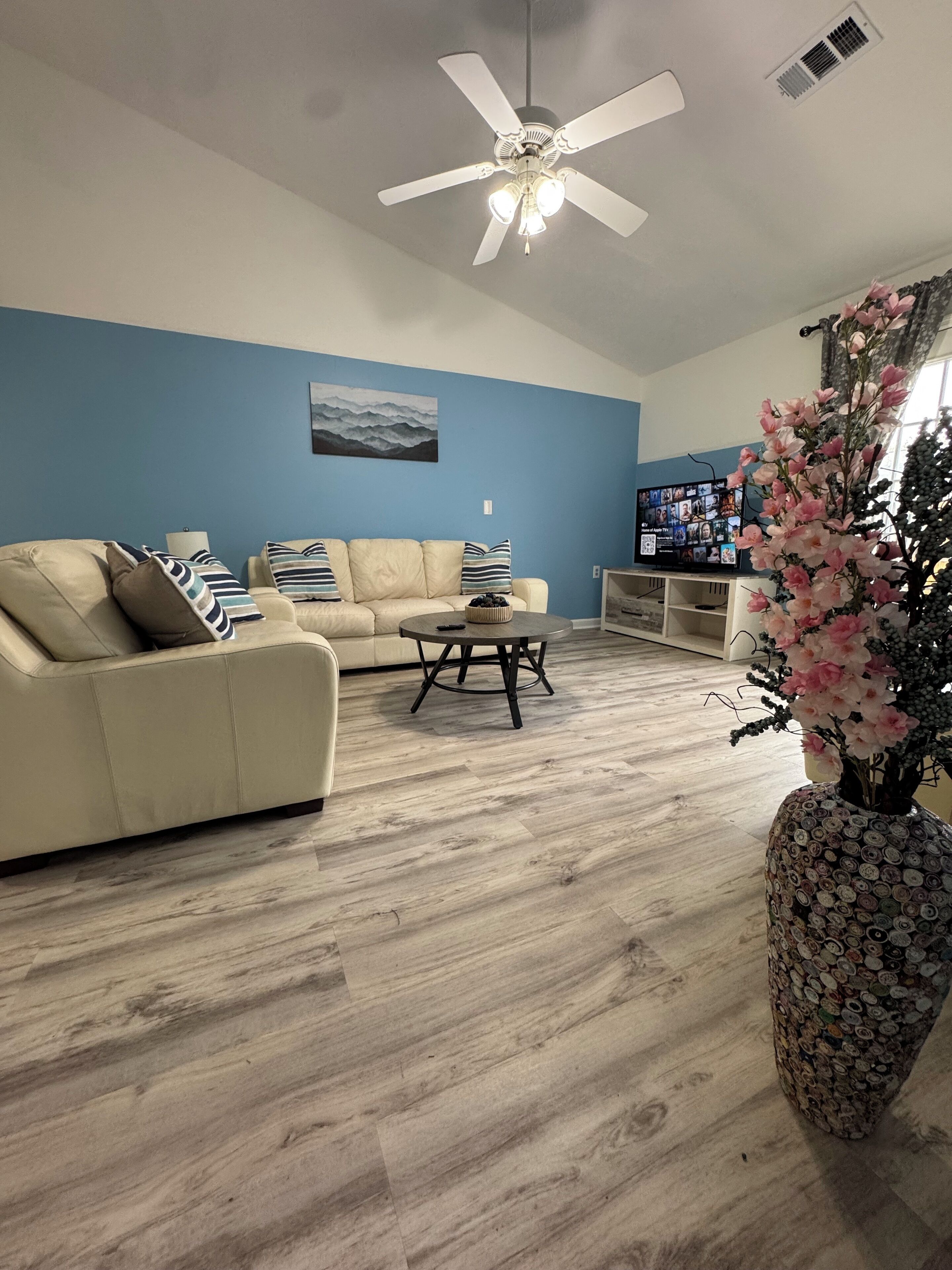 Smart TV, computer monitors