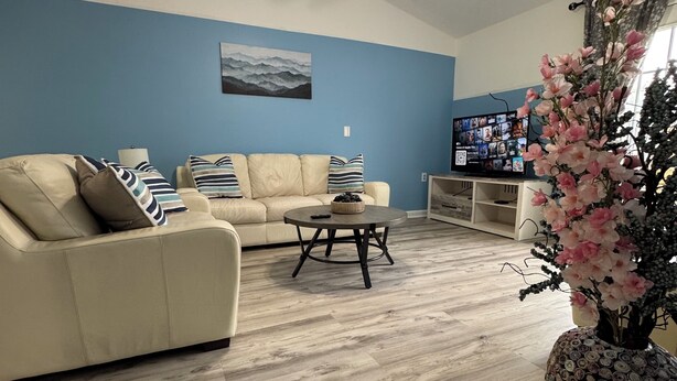 Smart TV, monitor per computer