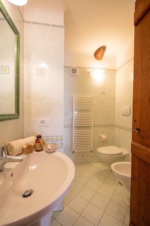 Regadera, secadora de cabello, bidet, toallas 