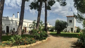 A building with a gravel driveway, surrounded by trees and a well-maintained garden.