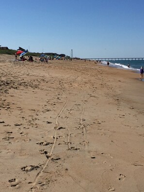 Plage à proximité, chaises longues