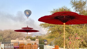 Un espace extérieur aménagé avec des tables et des chaises en bois, des parasols rouges et des plantes en pot.