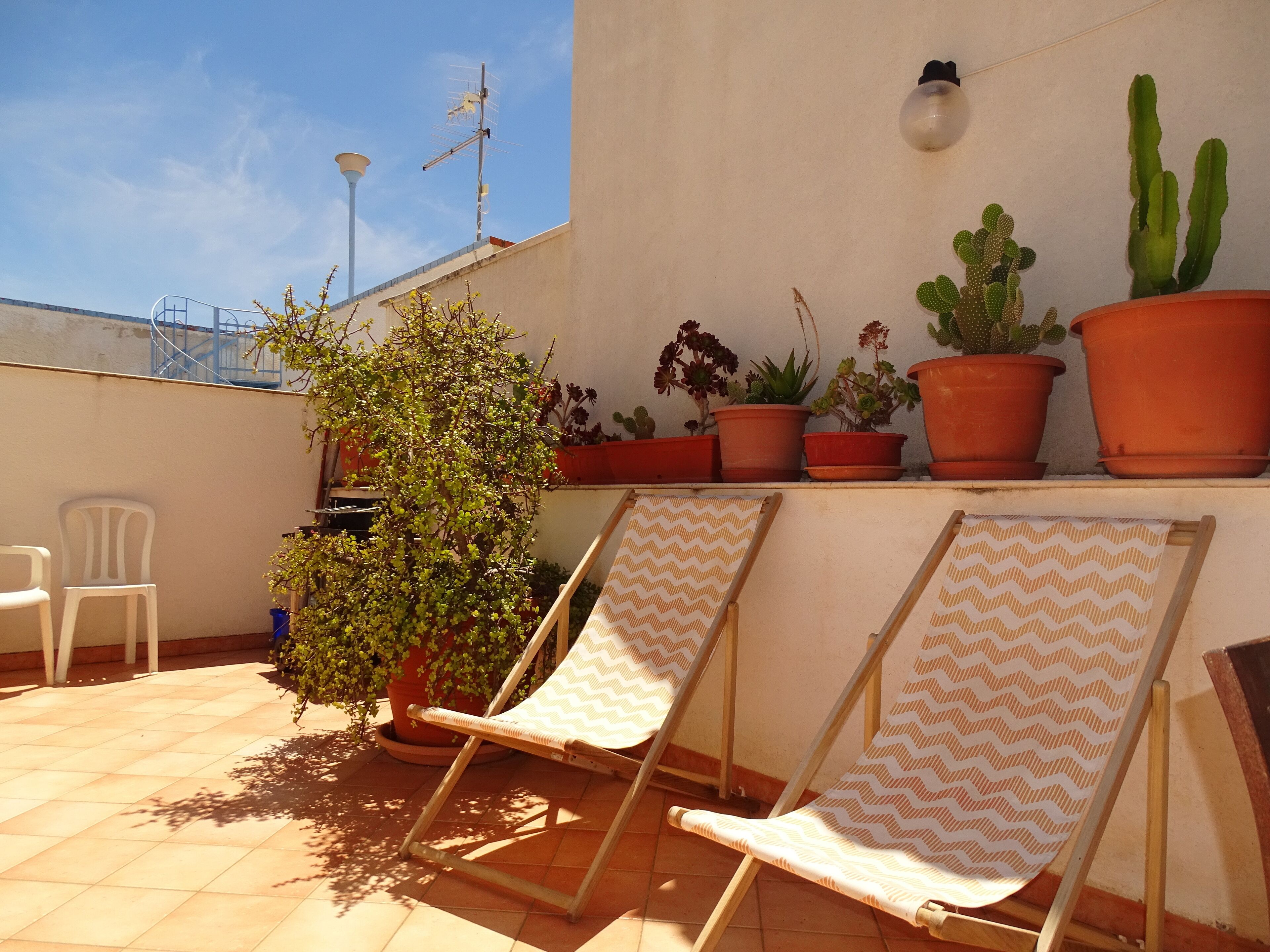 A terrace with two lounge chairs, a potted plant, and a cactus.