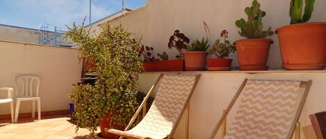 A terrace with two lounge chairs, a potted plant, and a cactus.