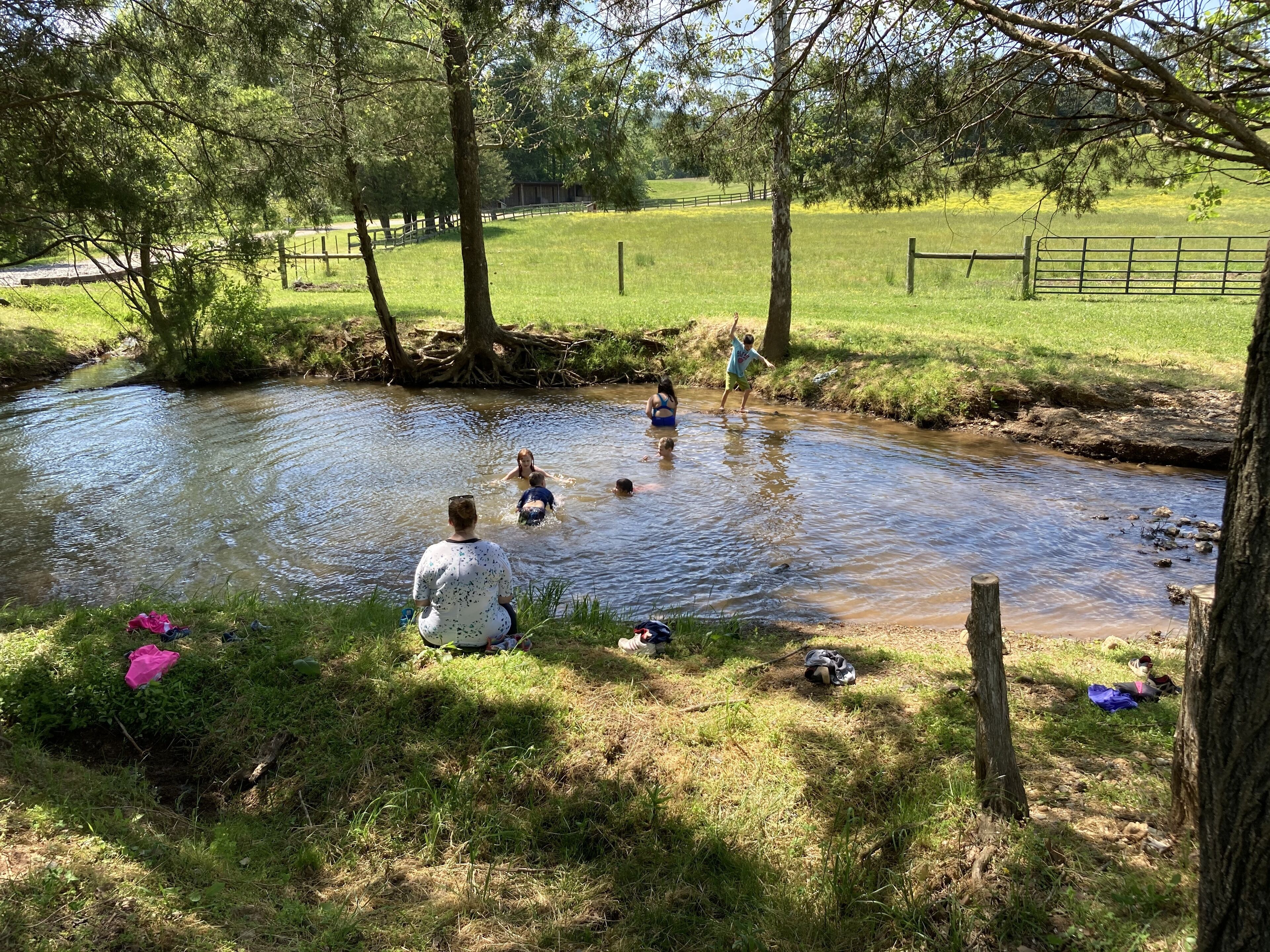 A group of people enjoying a natural setting by a stream, with trees and a grassy area in the background.