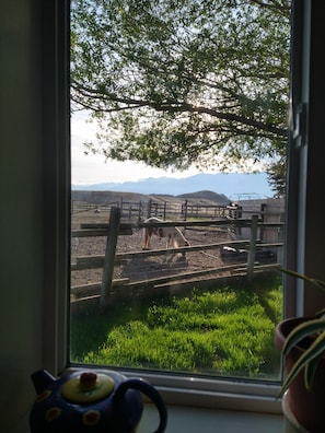 Interior - Peaceful Slice of Paradise!Peaceful Slice of Paradise! (Livingston)