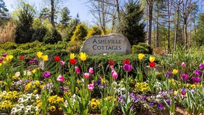 A sign for Asheville Cottages surrounded by a garden with various colorful flowers.