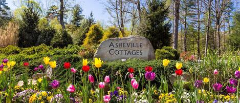 المنطقة المحيطة بالمنشأة